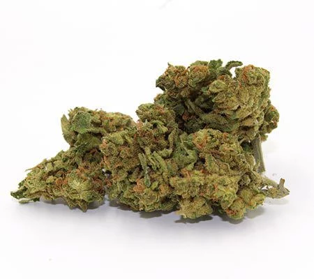 Buy Shining Silver Haze